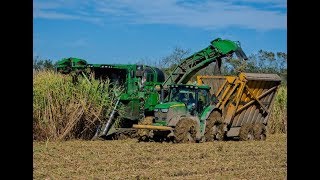 Muddy Sugarcane Harvest in Louisiana 4K Drone Video [upl. by Ennywg409]