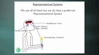 What is a representational system [upl. by Grange]