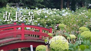 弘長寺【松本市信濃あじさい寺】静かな雨音に包まれて [upl. by Lirrehs290]