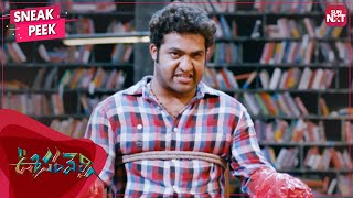 Young Tiger NTRs Mass Scene  Oosaravelli  NTR  Tamannaah  Prakash Raj  Telugu  SUN NXT [upl. by Annaehr]