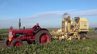 Deel 2 Historische suikerbietenoogst Lindeweg Luttelgeest 26 okt 2024Sugerbeetharvest Oldtimers [upl. by Olihs163]