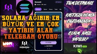 MOMOAL Solana Ağının En İyi Telegram Oyunu Tüm Detaylar momoai claim tapswap solana bitcoin [upl. by Merle131]