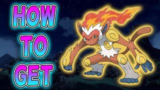 Where To Find Chimchar Monferno and Infernape In Pokemon Scarlet amp Violet DLC [upl. by Nue]