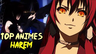 COMPARTIENDO JOYAS OLVIDADAS del Genero HAREM  ANIMES QUE VALEN LA PENA VER [upl. by Philan247]