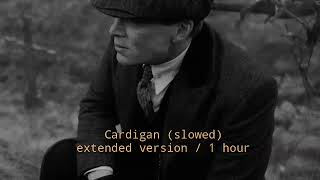 Cardigan slowed  Looped best part and sound instrumental  extendend song 1 hour [upl. by Onileva]