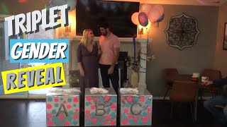 Surprise TRIPLET Gender Reveal [upl. by Patricio]