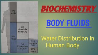 Distribution of Body WaterBody FluidsTypes of Fluids in Human BodyWater Distribution in Human [upl. by Rehpotsirhk816]