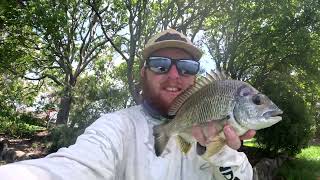 First Time Lure Fishing at Caloundra Queensland [upl. by Nadual]