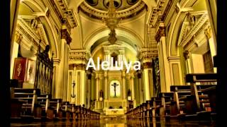 Aleluya Marcelo Instrumental Karaoke [upl. by Limber]