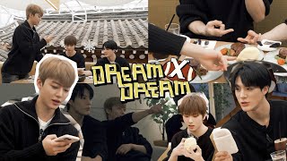 🐶🐰🐹트리플 제이의 일일 시즈니 체험💚 EP1  드림 바이 드림  DREAM x DREAM [upl. by Norvin]