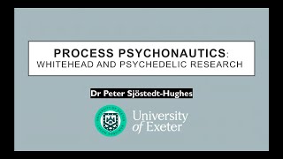 Process Psychonautics Whitehead and Psychedelic Research – Peter SjöstedtHughes talk at CPS50th [upl. by Heti]