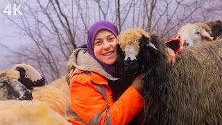 Köyde ki Mutlu Aile Genç Çoban Kızın Dünyası Belgesel4K [upl. by Boy]