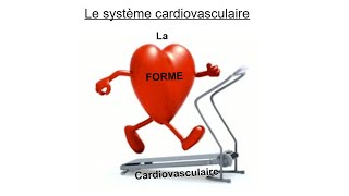 La forme cardiovasculaire [upl. by Di]