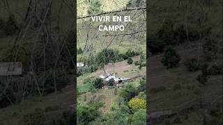 VIVIR EN EL CAMPO ASI [upl. by Prosperus]