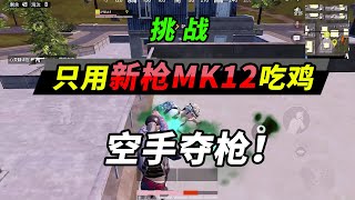 和平精英：挑战只用新枪MK12狙吃鸡，你们见过这么快的手速吗？【突击手蜜獾】 [upl. by Basia787]