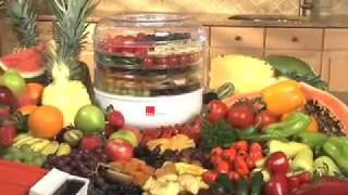 Ronco Food Dehydrator [upl. by Fortunato]