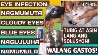 PINAKAMABISANG GAMOT SA MGA PROBLEMA SA MATA NG ATING MGA ALAGANG ASOWATERampSALT 100LEGIT 3 [upl. by Sigismundo]