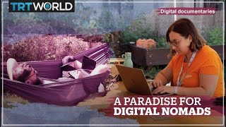 A Paradise for Digital Nomads [upl. by Basham]