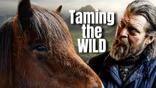 ICELANDIC HORSES  FROM WILD TO WILLING WITH HORSEMANSHIP [upl. by Christianity638]