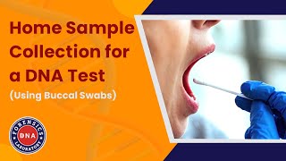 How to Collect Your DNA Sample at Home Using Buccal Swabs [upl. by Aznecniv]