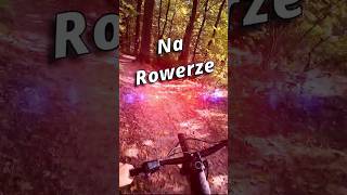 Ebike Enduro MTB [upl. by Naj]