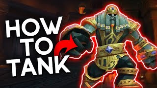 InDepth Guide on How to Tank The Stonevault Prot Pal PoV [upl. by Dorolice]