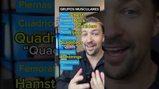 GRUPOS MUSCULARES EN INGLÉS [upl. by Neron201]