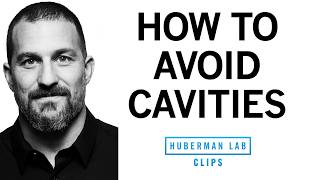 How Cavities Form amp How to Prevent Them  Dr Andrew Huberman [upl. by Lambertson]