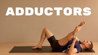 Hip Adductor Groin Stretch  Active Isolated Stretching [upl. by Idroj]