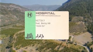 Netsky  Hold On feat Becky Hill [upl. by Anaerda646]