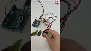 detecting leaf color  science project [upl. by Eintihw715]