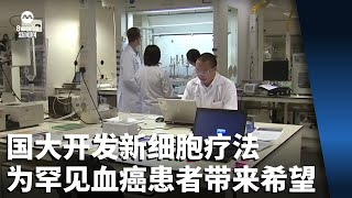 国大开发新细胞疗法 为罕见血癌患者带来希望 [upl. by Eenat894]