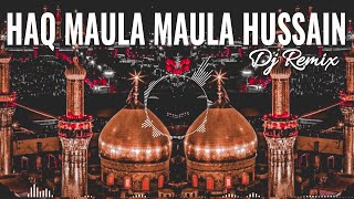 Dam Dama Dam Dam Hussain Dj Remix  Haq Maula Maula Hussain  मुहर्रम की नई कव्वाली  New Dj Qawwali [upl. by Brunelle542]