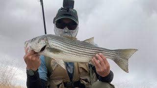 When The Bite Is HOT Fishing The Ca Aqueduct [upl. by Ytissac808]