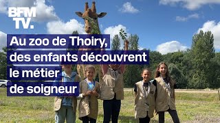 Des enfants se mettent dans la peau dun soigneur du zoo de Thoiry [upl. by Zumstein594]