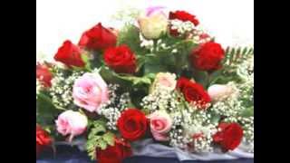 quotRose Petalsquot Processional  Wedding Slideshow Video  Wedding Ceremony Music Processional [upl. by Annaehr395]