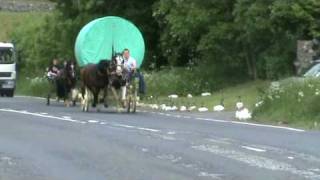 Appleby Horse Fair  Kirky Bank Part 2 [upl. by Yehus]