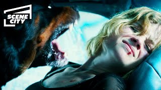 Dont Breathe Rabid Dog Attack Jane Levy HD Scene [upl. by Wiersma]