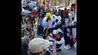 🍁 Autumn Moon Festival Parade 2024 Grant Avenue Chinatown San Francisco California 🌙 [upl. by Ecirted]