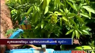 Endosulfan misery in Muthalamada മുതലമടയിലും എന്‍ഡോസള്‍ഫാന്‍ ദുരിതം [upl. by Audsley]