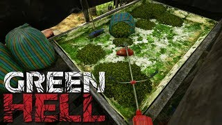 COCAINE PLANTATION Green Hell Survival Episode 5 [upl. by Janiuszck]