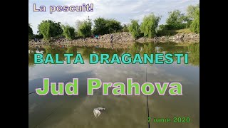 La Pescuit pe BALTA DRAGANESTI PRAHOVA  7 IUNIE 2020 [upl. by Seek]