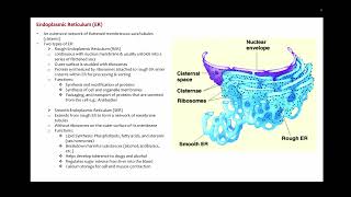 SIR1001 lecture 4 Fundamental Microbiology [upl. by Pamella374]