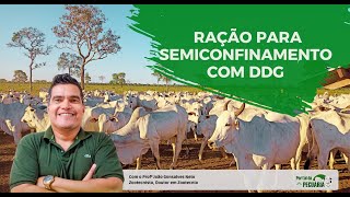 Ração para semiconfinamento de bovinos com DDG [upl. by Mahala]