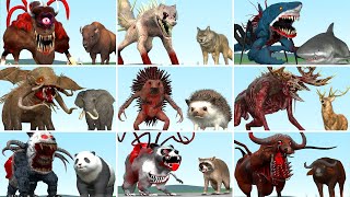 ALL NORMAL amp MUTANT PARASITE ANIMALS ZOOCHOSIS in Garrys Mod [upl. by Iraam]