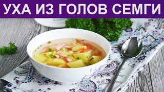 КАК СВАРИТЬ УХУ ИЗ ГОЛОВ СЕМГИ Рыбный суп из головы семги  Уха из головы красной рыбы [upl. by Ngo]