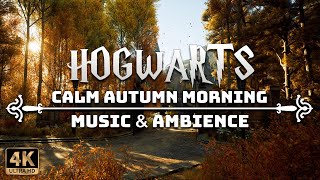 A Calm Autumn Morning at Hogwarts  4K Harry Potter Music amp Ambience [upl. by Linet605]