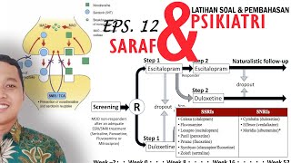 Latihan amp Pembahasan Soal UKAI Apoteker  Mekanisme Kerja Obat Syaraf amp Psikiatri [upl. by Burkhard]