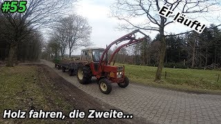 Querbeet  Wir fahren das Holz raus  Teil 2  IHC 633  Mr Moto [upl. by Niltac711]