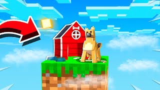 MAKING A DOG HOUSE ON ONE BLOCK EP 4 [upl. by Beverly]